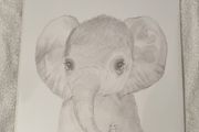 Mamas &amp; Papas Picture - Elephant