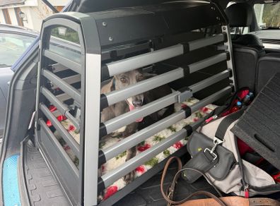 Thule allax dog transport crate