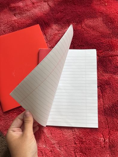 Squared and lined copy notebooks