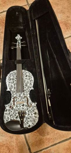 Thomann Dark Meadow Violin 4/4 with case