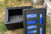 Large styrofoam box with ice packs