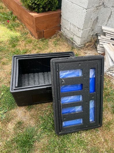 Large styrofoam box with ice packs