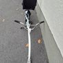 wee ride tag along bike Image 3