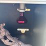 Tank Image 7