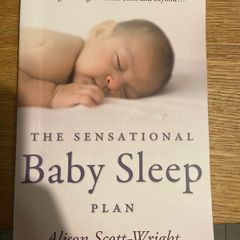 The sensational baby sleep plan