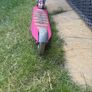 mirco scooter pink Image 2