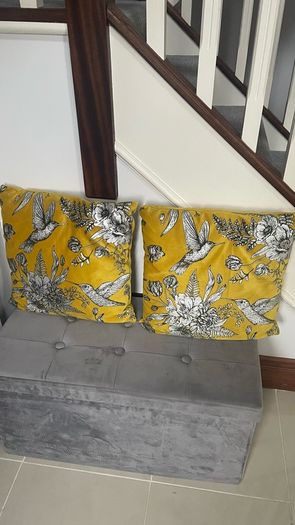 Pair Of Velvet Cushions