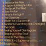 The Flaming Lips - The Soft Bulletin Image 2