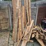 free wood Image 2