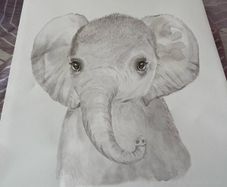 Mamas and papas elephant print