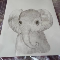 Mamas and papas elephant print