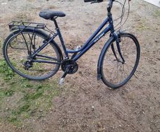 Raleigh pioneer ladys bike