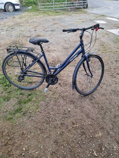 Raleigh pioneer ladys bike