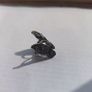 Vintage style butterfly ring (size 7) Image 2