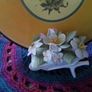 Royal Doulton China Posy Wheelbarrow Image 2
