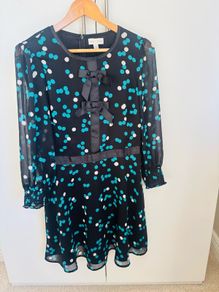 Love & Roses Dress