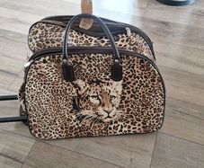 Suit case