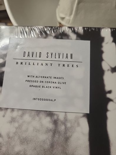 David Sylvian Brilliant trees opague black vinyl
