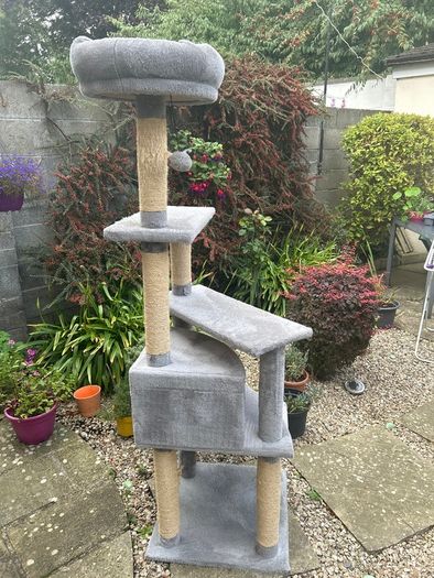 Cat scratcher