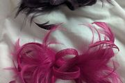 Fascinator