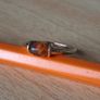 9 ct yellow gold ring size N Image 5