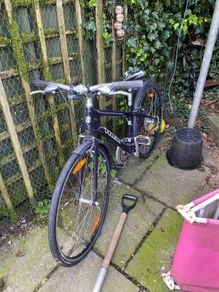 Trek 15inch bike