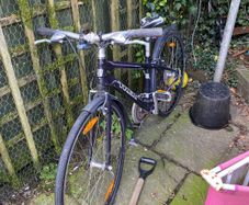 Trek 15inch bike