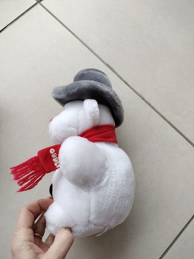 Teddy