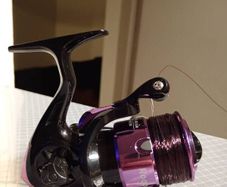 fishing reel