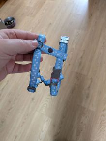 puppy harness