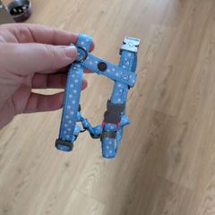 puppy harness
