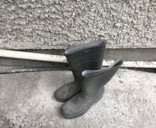 wellies