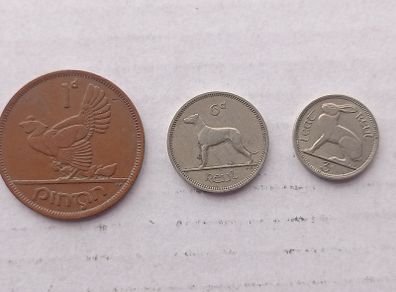 Irish Coins