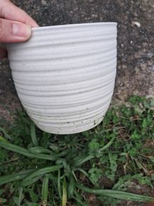 Plant pots