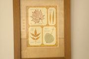 Large Framed Botanical Print Leaf Albums Wood Frame
