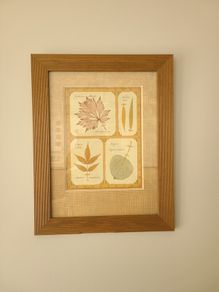 Large Framed Botanical Print Leaf Albums Wood Frame