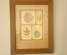 Large Framed Botanical Print Leaf Albums Wood Frame