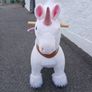 PonyCycle Image 2