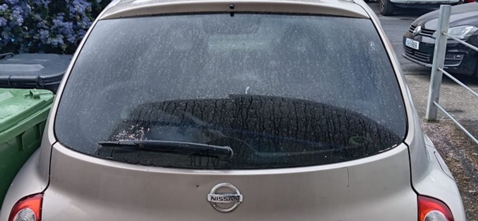 2006 Nissan March Ak12