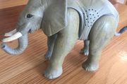 heavy sturdy elephant