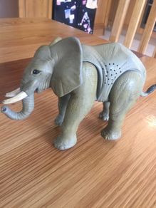 heavy sturdy elephant