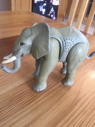 heavy sturdy elephant