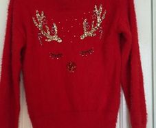 Christmas Jumper Lipsy Next