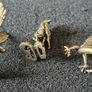 3 brass Animals,. Solid brass. Image 2