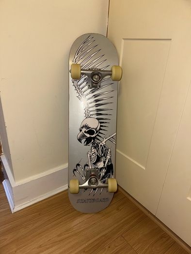 skateboard