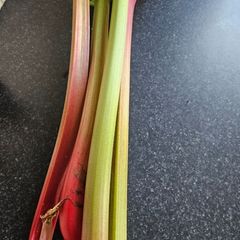 Organic Rhubarb