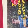 The Grass Ceiling/ Eimear Ryan/ 2023 Image 3