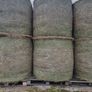 Hay Image 5