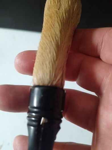 Mid Nineteenth Century Deer Hoof and Horn Page Turner