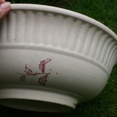 Antique  England  Water Basin 15"